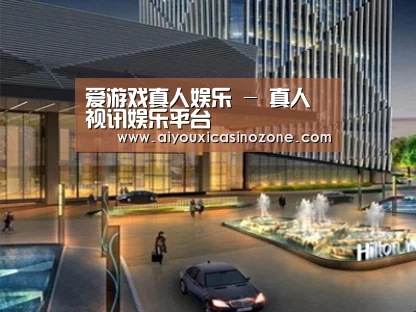 案例展示二