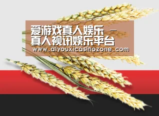 爱游戏真人娱乐 - 真人视讯娱乐平台