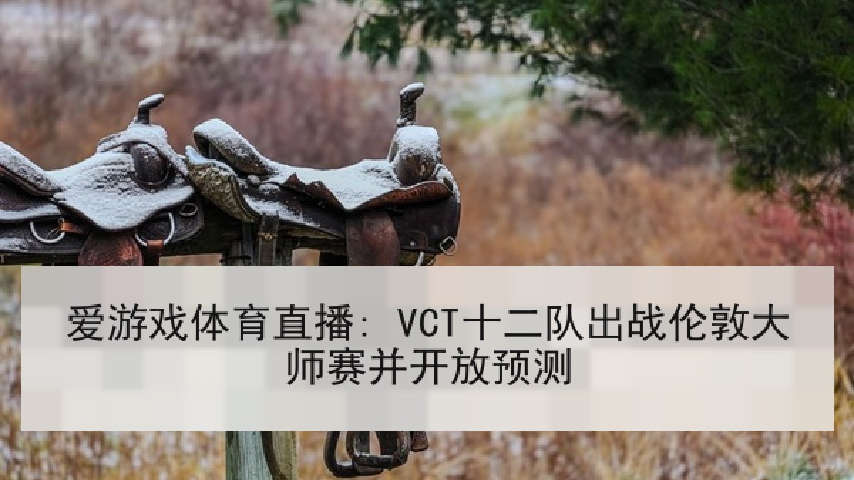 爱游戏体育直播: VCT十二队出战伦敦大师赛并开放预测