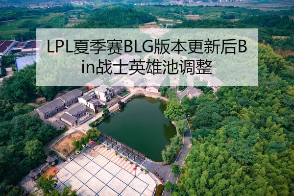 LPL夏季赛BLG版本更新后Bin战士英雄池调整