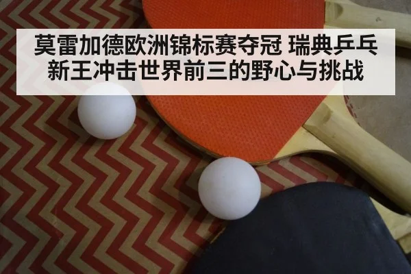 ping pong paddle closeup
